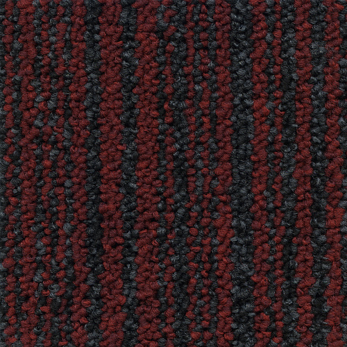 Tecsom Prima Ligne