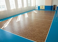 Спортивное покрытие Tarkett Omnisports Action 65