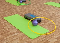 Спортивное покрытие Tarkett Omnisports Action 65