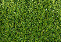 Comfort_Lawn_Polaris 1