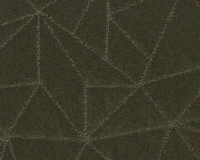 591  Moss 1