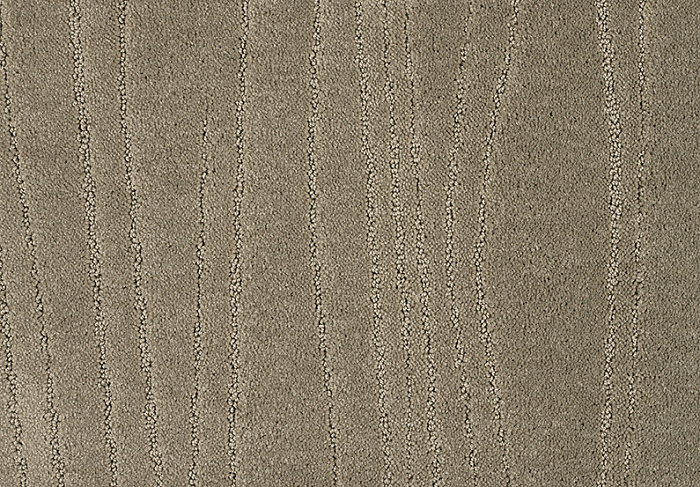 Carve Linea color 182 Rum 2