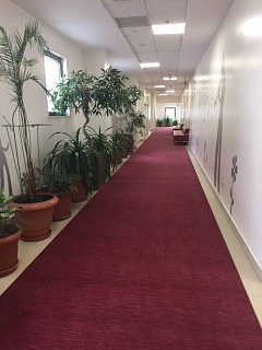 ТРЦ Фестиваль