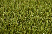 Искусственная трава Lano Poppy