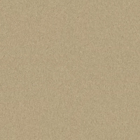 SOFT DUSTY YELLOW 0909