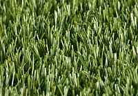 Comfort_Lawn_Polaris 2