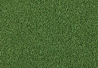 Comfort_Lawn_Play 1