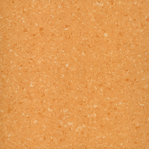 Tempo Plus
