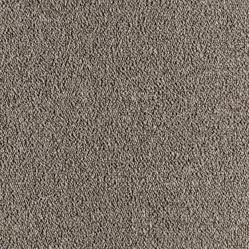 Tecsom Prima