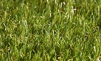 Искусственная трава Lano Talia