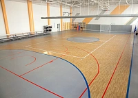 Спортивное покрытие Tarkett Omnisports Action 65