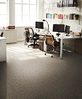 Гомогенный линолеум Tarkett Primo Plus