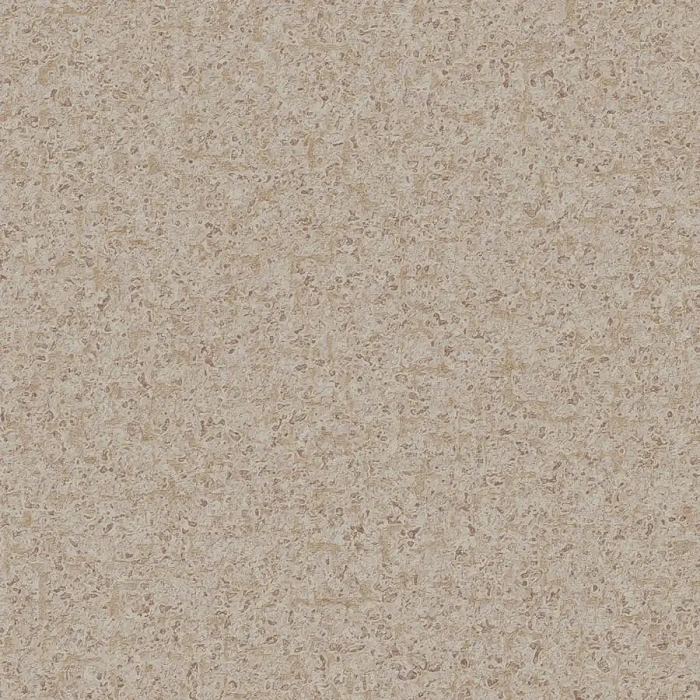 FOCUS 1