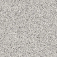 FOCUS 4