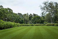 Искусственная трава Lano Multiline Luxe