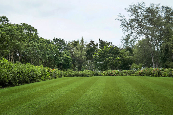 Искусственная трава Lano Multiline Luxe