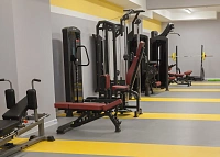 Спортивное покрытие Tarkett Omnisports Action 65