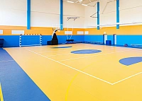 Спортивное покрытие Tarkett Omnisports Action 65