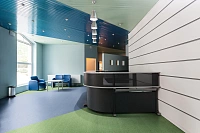 Гомогенный линолеум Tarkett Tempo Plus