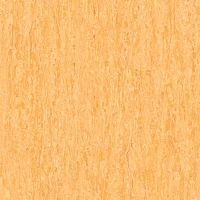 Optima YELLOW 0834