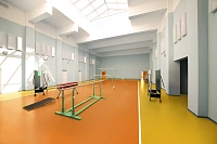 Спортивное покрытие Tarkett Omnisports Action 65