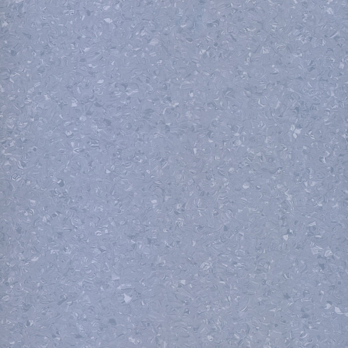 Tempo Plus