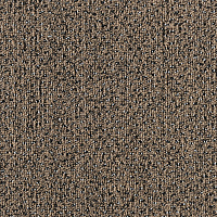 64