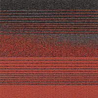 00113