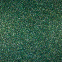 GREEN   MODUL 418700505 00011