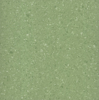 Tempo Plus  1009