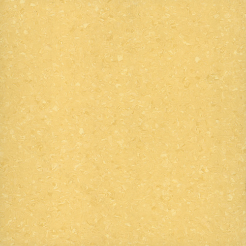 Tempo Plus
