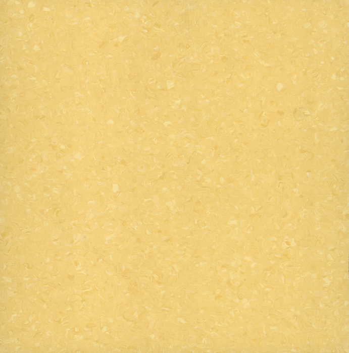 Tempo Plus  1012