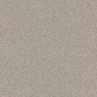 Primo  313