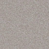 FOCUS 3