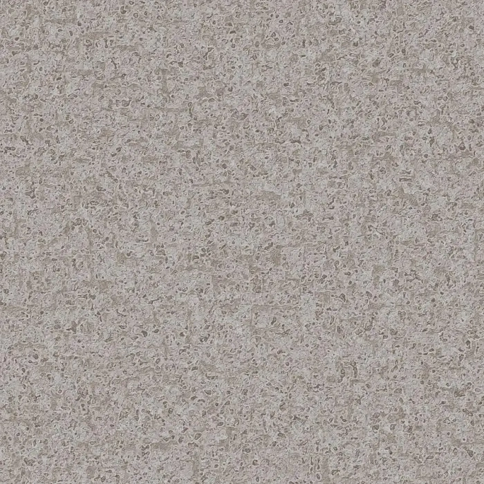 FOCUS 3