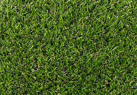 Comfort_Lawn_Castor 1